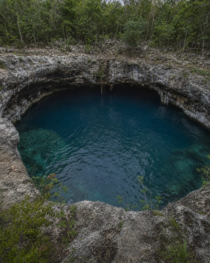 Vista conceptual de un cenote abierto rodeado de vegetación