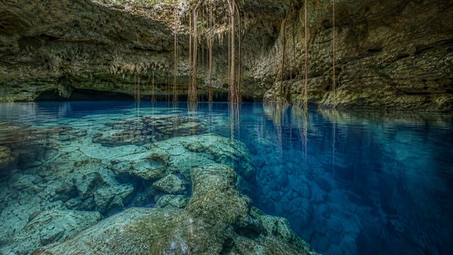 Agua subterránea transparente, roca caliza y raíces dentro de un cenote, imagen conceptual